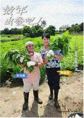 极限修理工 海报